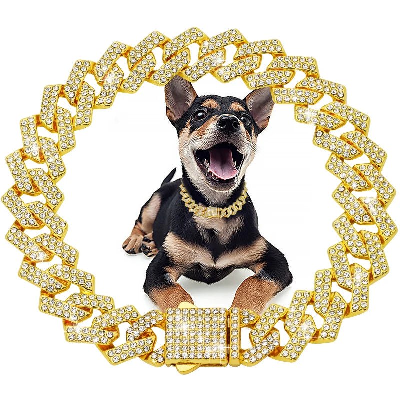 Bling Chunky Pet Chain - Angie's Pet ProvisionsAngie's Pet Provisions