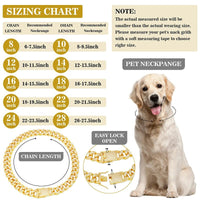 Bling Chunky Pet Chain - Angie's Pet ProvisionsAngie's Pet Provisions