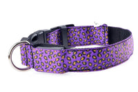 LED Leopard Print Dog Collar - Angie's Pet ProvisionsAngie's Pet Provisions