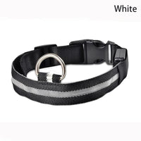 LED Leopard Print Dog Collar - Angie's Pet ProvisionsAngie's Pet Provisions