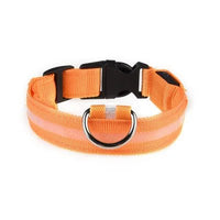 LED Leopard Print Dog Collar - Angie's Pet ProvisionsAngie's Pet Provisions