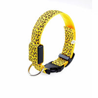 LED Leopard Print Dog Collar - Angie's Pet ProvisionsAngie's Pet Provisions