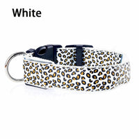 LED Leopard Print Dog Collar - Angie's Pet ProvisionsAngie's Pet Provisions