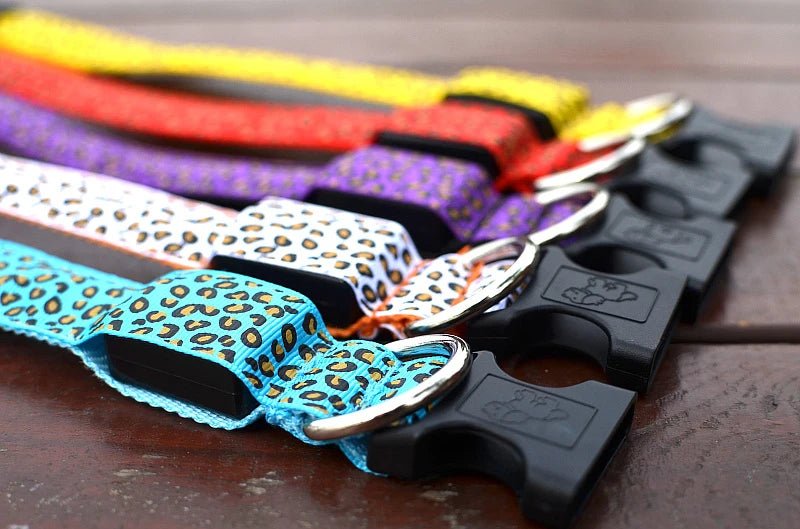 LED Leopard Print Dog Collar - Angie's Pet ProvisionsAngie's Pet Provisions