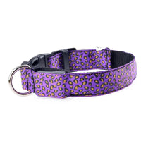 LED Leopard Print Dog Collar - Angie's Pet ProvisionsAngie's Pet Provisions