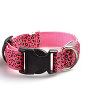 LED Leopard Print Dog Collar - Angie's Pet ProvisionsAngie's Pet Provisions