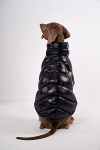 Luxury Padded Dog Gilet - Angie's Pet ProvisionsAngie's Pet Provisions