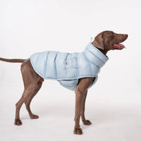 Luxury Padded Dog Gilet - Angie's Pet ProvisionsAngie's Pet Provisions