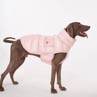 Luxury Padded Dog Gilet - Angie's Pet ProvisionsAngie's Pet Provisions