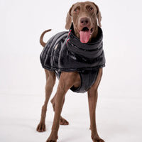 Luxury Padded Dog Gilet - Angie's Pet ProvisionsAngie's Pet Provisions