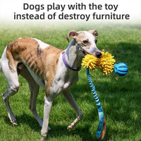 Multi - Sensory Dog Tug Toy - Angie's Pet ProvisionsAngie's Pet Provisions