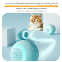 Smart Electric Rolling Ball - Angie's Pet ProvisionsAngie's Pet Provisions