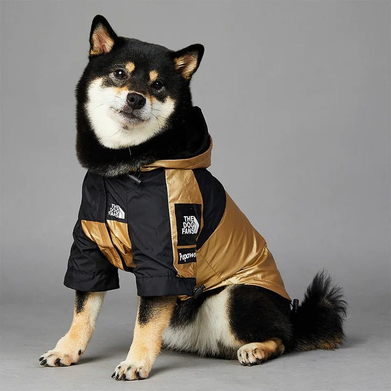 The Dog Face Windbreaker - Angie's Pet ProvisionsDog Face