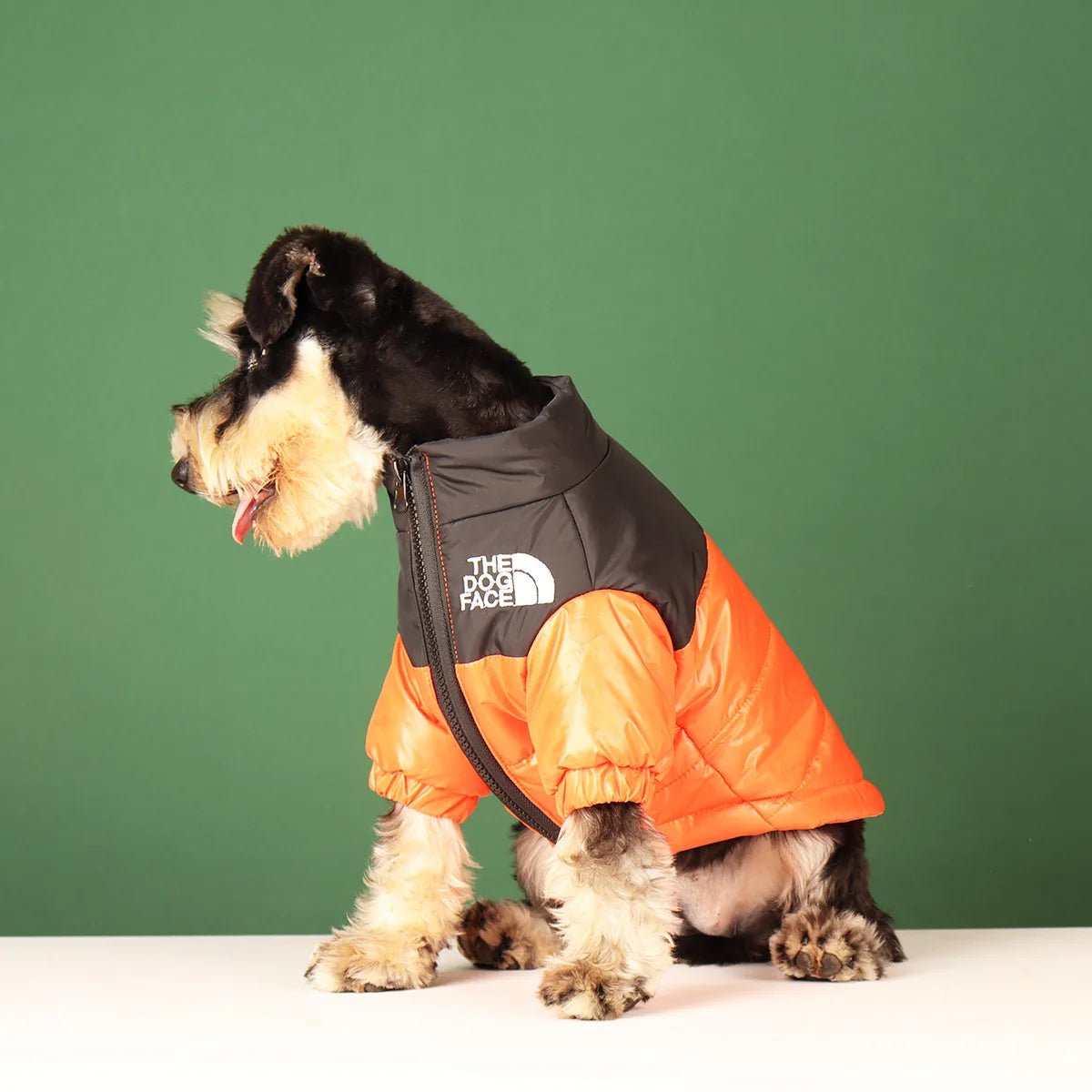 The Dog Face Winter Jacket - Angie's Pet ProvisionsAngie's Pet Provisions