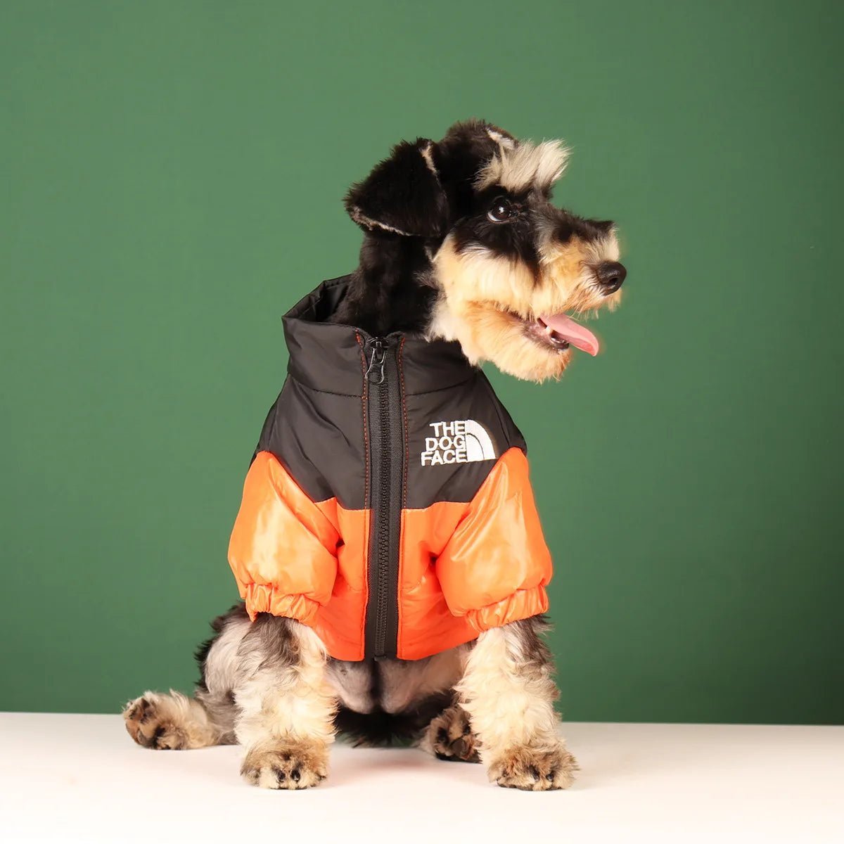 The Dog Face Winter Jacket - Angie's Pet ProvisionsAngie's Pet Provisions