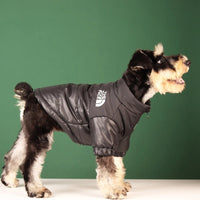 The Dog Face Winter Jacket - Angie's Pet ProvisionsAngie's Pet Provisions