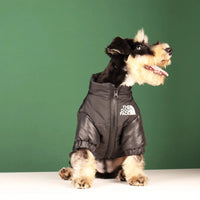 The Dog Face Winter Jacket - Angie's Pet ProvisionsAngie's Pet Provisions